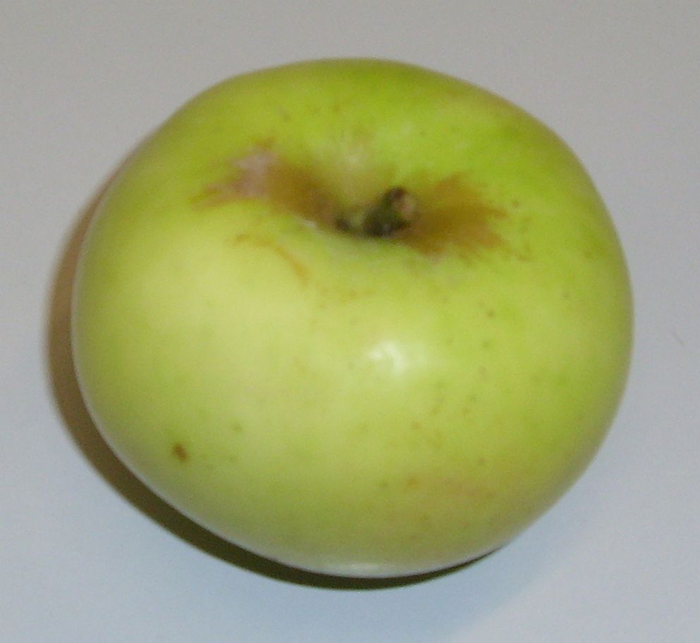 Apfel 'Mömlinger Grüner'